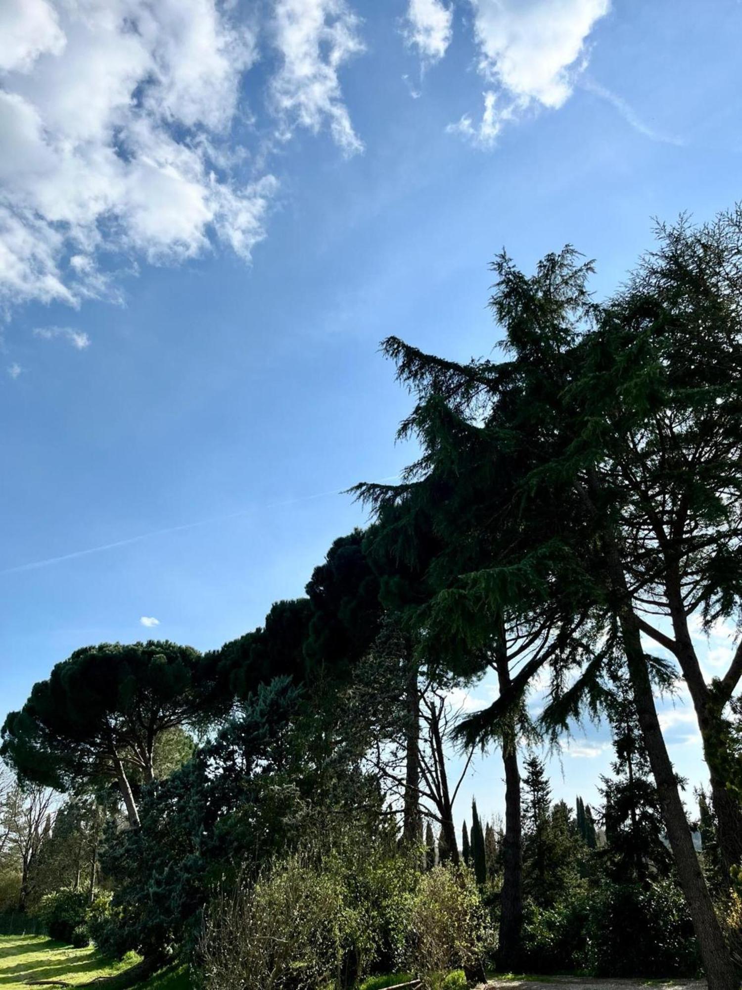 Apartamento Casale Collecchio *